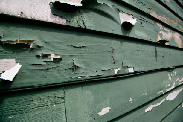 Best Same-Day Junk Removal Services  in University Gardens, NY